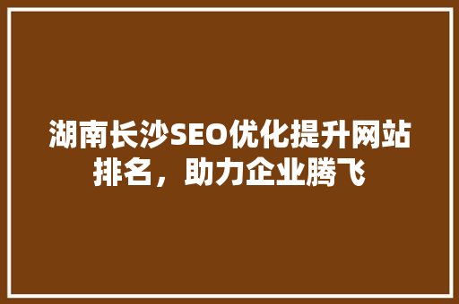 湖南长沙SEO优化提升网站排名，助力企业腾飞