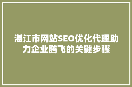 湛江市网站SEO优化代理助力企业腾飞的关键步骤