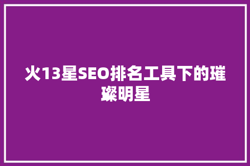 火13星SEO排名工具下的璀璨明星