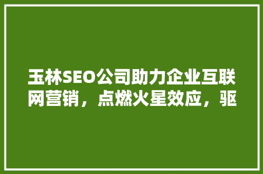 玉林SEO公司助力企业互联网营销，点燃火星效应，驱动业绩腾飞