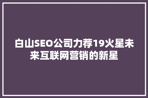 白山SEO公司力荐19火星未来互联网营销的新星
