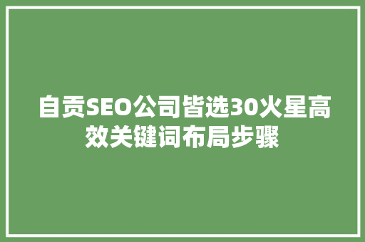 自贡SEO公司皆选30火星高效关键词布局步骤