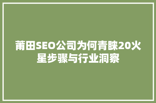 莆田SEO公司为何青睐20火星步骤与行业洞察