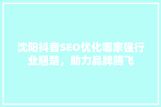 沈阳抖音SEO优化哪家强行业翘楚，助力品牌腾飞