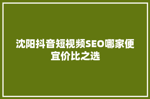 沈阳抖音短视频SEO哪家便宜价比之选