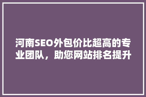 河南SEO外包价比超高的专业团队，助您网站排名提升无忧