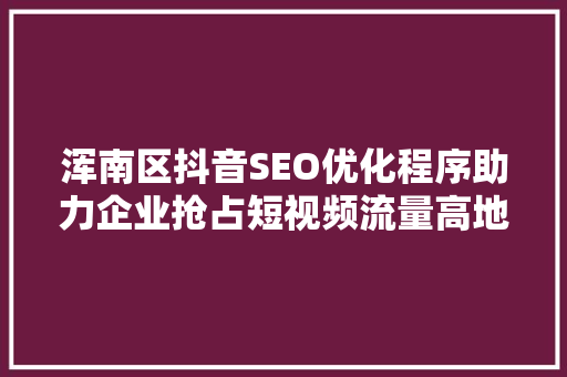 浑南区抖音SEO优化程序助力企业抢占短视频流量高地