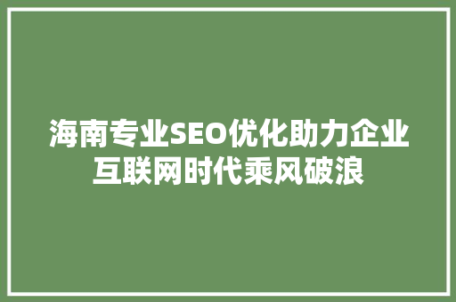 海南专业SEO优化助力企业互联网时代乘风破浪