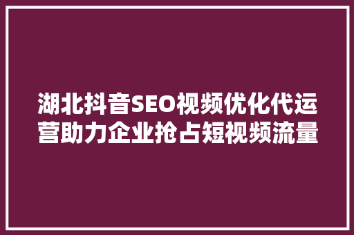 湖北抖音SEO视频优化代运营助力企业抢占短视频流量高地