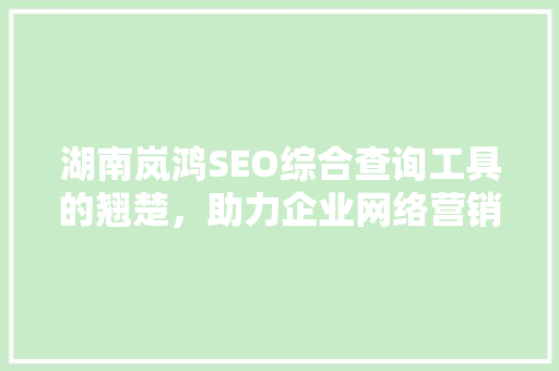 湖南岚鸿SEO综合查询工具的翘楚，助力企业网络营销新篇章