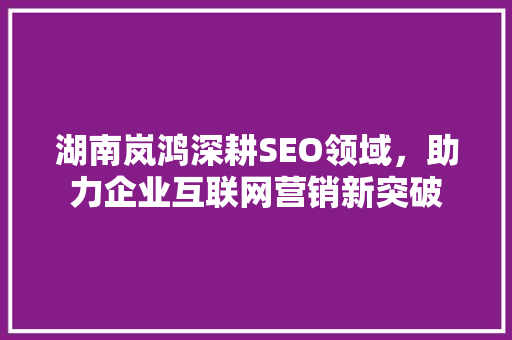 湖南岚鸿深耕SEO领域，助力企业互联网营销新突破