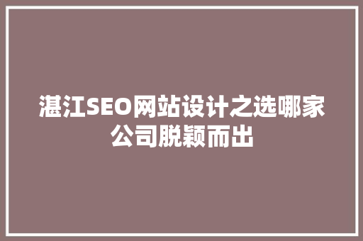 湛江SEO网站设计之选哪家公司脱颖而出