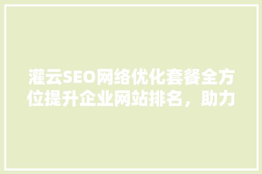 灌云SEO网络优化套餐全方位提升企业网站排名，助力品牌腾飞