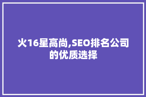 火16星高尚,SEO排名公司的优质选择