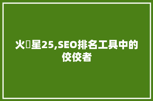 火乛星25,SEO排名工具中的佼佼者