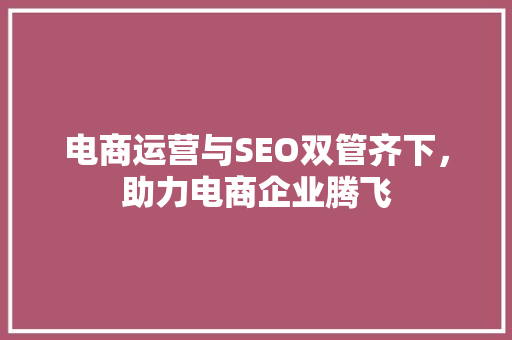 电商运营与SEO双管齐下，助力电商企业腾飞