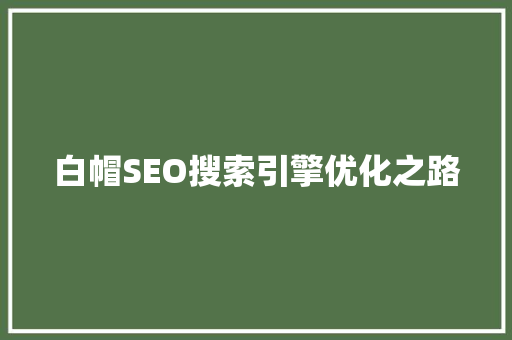 白帽SEO搜索引擎优化之路