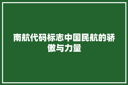 南航代码标志中国民航的骄傲与力量