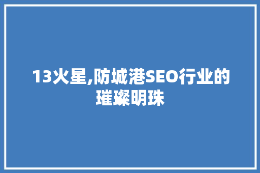 13火星,防城港SEO行业的璀璨明珠