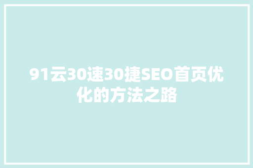 91云30速30捷SEO首页优化的方法之路