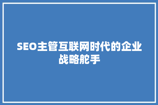 SEO主管互联网时代的企业战略舵手