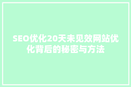 SEO优化20天未见效网站优化背后的秘密与方法
