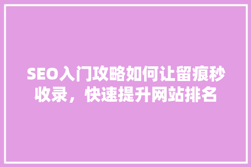SEO入门攻略如何让留痕秒收录，快速提升网站排名