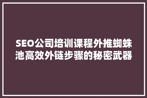 SEO公司培训课程外推蜘蛛池高效外链步骤的秘密武器