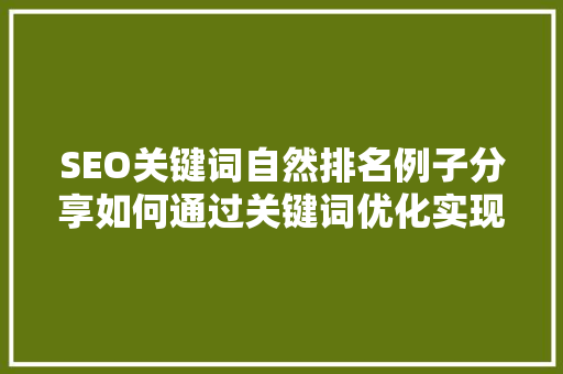 SEO关键词自然排名例子分享如何通过关键词优化实现网站流量提升