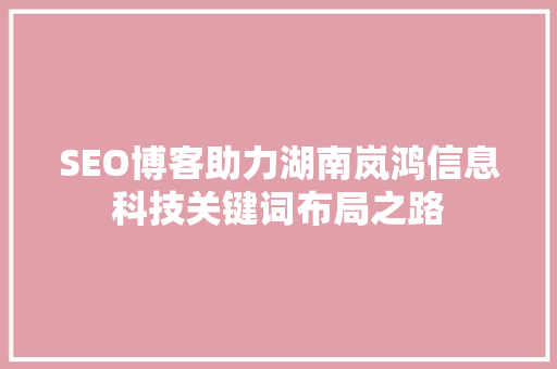 SEO博客助力湖南岚鸿信息科技关键词布局之路