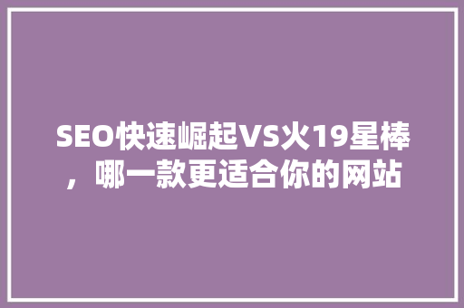 SEO快速崛起VS火19星棒，哪一款更适合你的网站