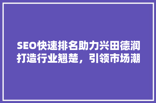 SEO快速排名助力兴田德润打造行业翘楚，引领市场潮流