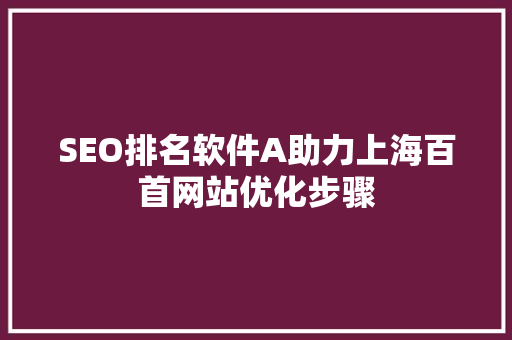 SEO排名软件A助力上海百首网站优化步骤