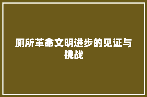 厕所革命文明进步的见证与挑战