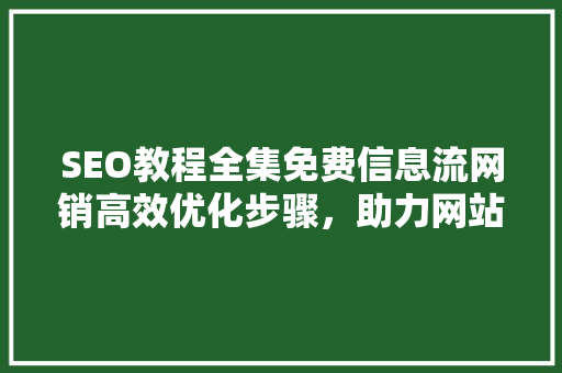 SEO教程全集免费信息流网销高效优化步骤，助力网站流量翻倍