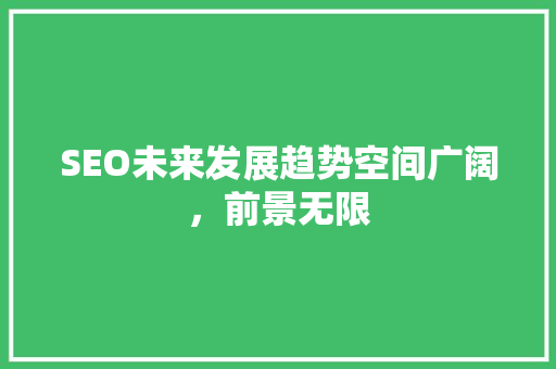 SEO未来发展趋势空间广阔，前景无限