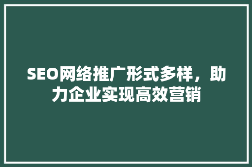 SEO网络推广形式多样，助力企业实现高效营销