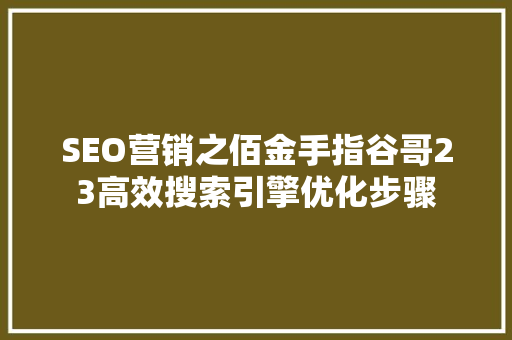 SEO营销之佰金手指谷哥23高效搜索引擎优化步骤