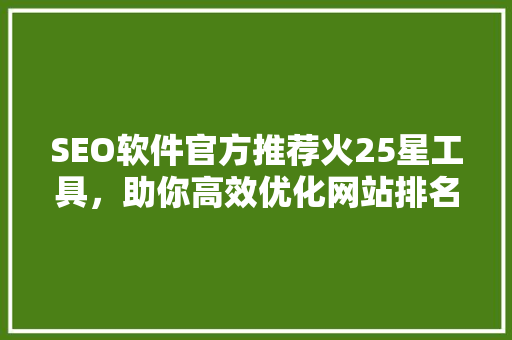 SEO软件官方推荐火25星工具，助你高效优化网站排名