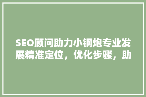 SEO顾问助力小钢炮专业发展精准定位，优化步骤，助力品牌腾飞