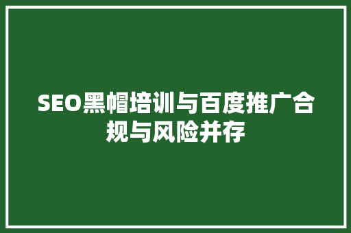 SEO黑帽培训与百度推广合规与风险并存