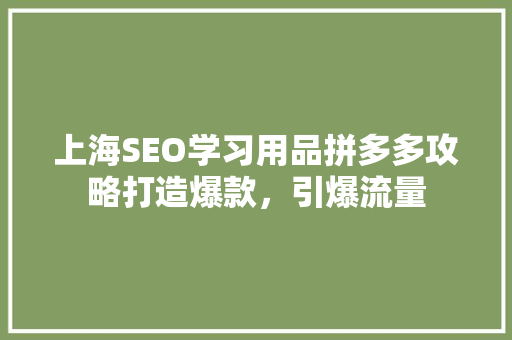 上海SEO学习用品拼多多攻略打造爆款，引爆流量
