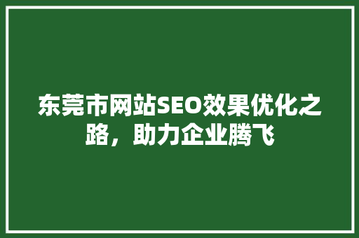 东莞市网站SEO效果优化之路，助力企业腾飞