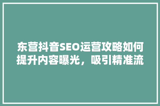 东营抖音SEO运营攻略如何提升内容曝光，吸引精准流量