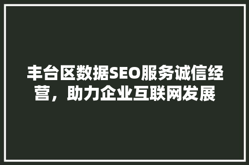 丰台区数据SEO服务诚信经营，助力企业互联网发展