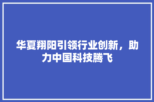 华夏翔阳引领行业创新，助力中国科技腾飞