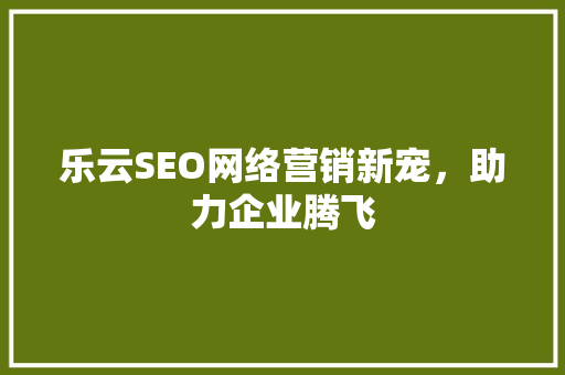 乐云SEO网络营销新宠，助力企业腾飞