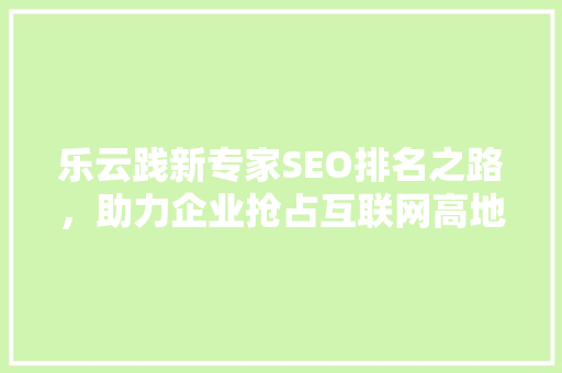 乐云践新专家SEO排名之路，助力企业抢占互联网高地