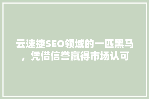 云速捷SEO领域的一匹黑马，凭借信誉赢得市场认可