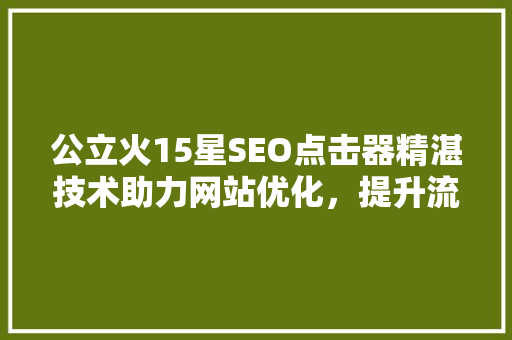 公立火15星SEO点击器精湛技术助力网站优化，提升流量与排名